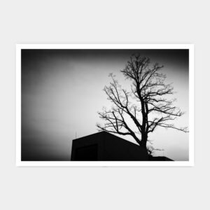 Visitor Center Leuchtenburg, Seitenroda 2016