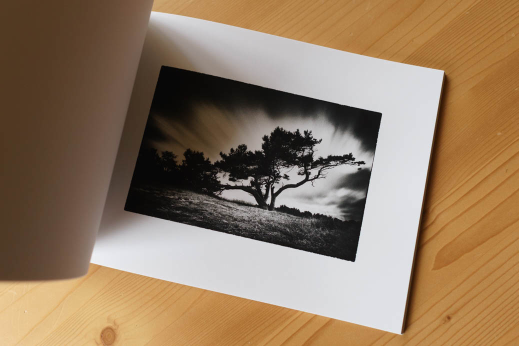 Limited Print Collection 2014 - 2019 - Image 11