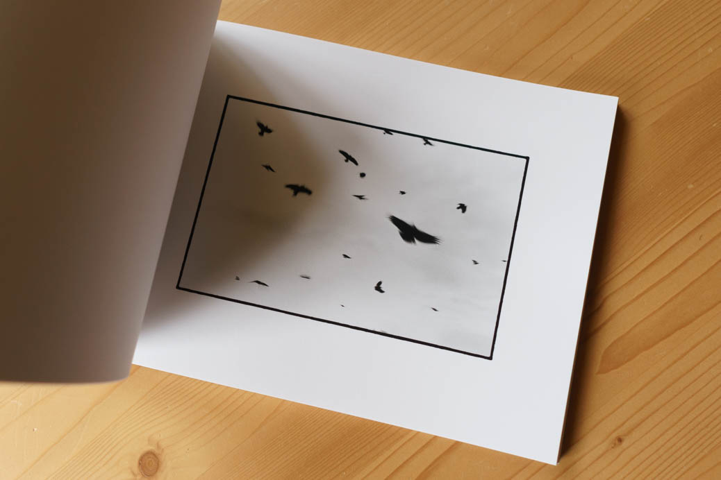 Limited Print Collection 2014 - 2019 - Image 8