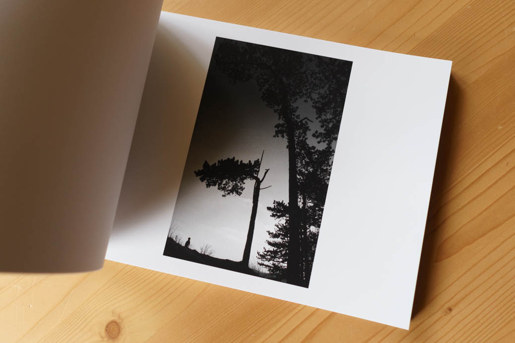 Limited Print Collection 2014 - 2019 - Image 5