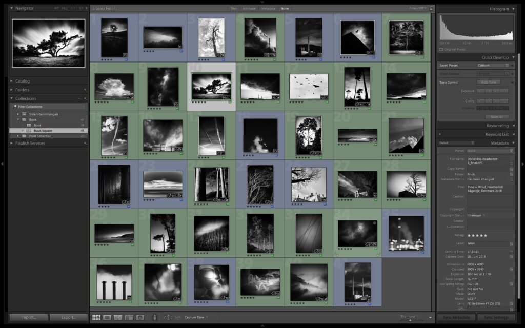 Choosing images for the book
