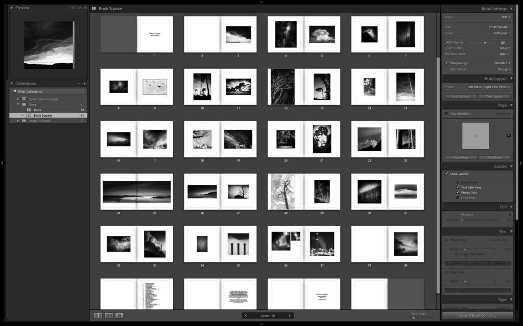 Arrangement and size of the images